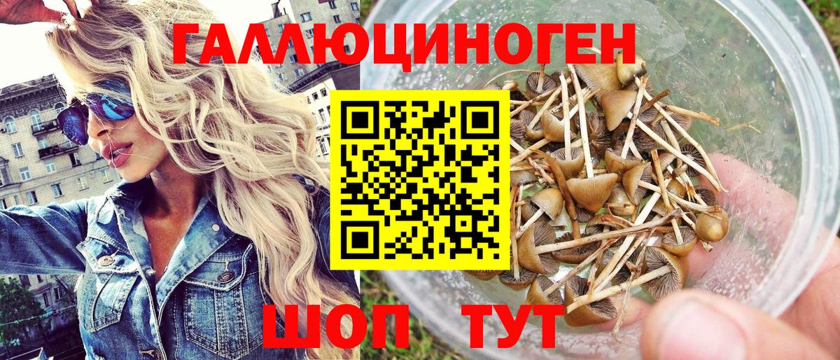 Галлюциногенные грибы Psilocybe  Вход с VPN  Старая Русса 