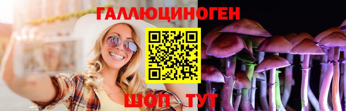 Галлюциногенные грибы Psilocybine cubensis Старая Русса